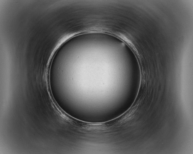 X0000087311486200704201201