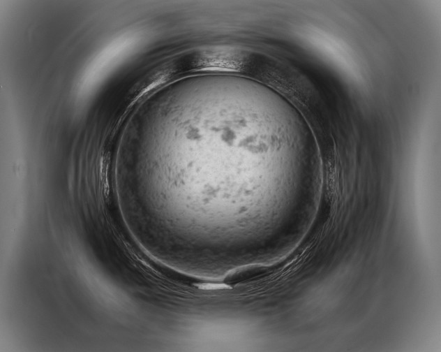 X0000087311487200704201201