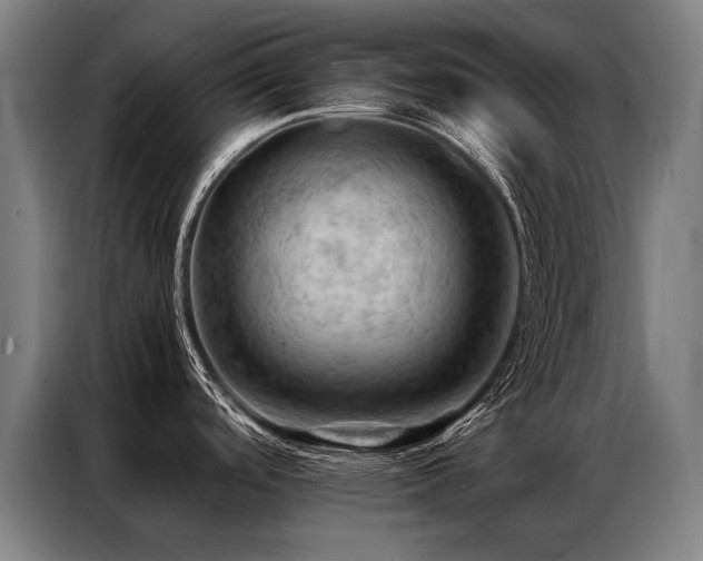 X0000087311488200704201201