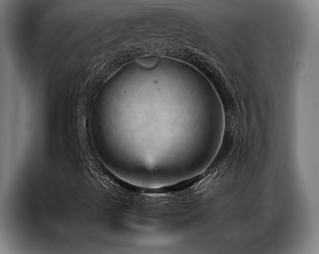 X0000087311489200704201200