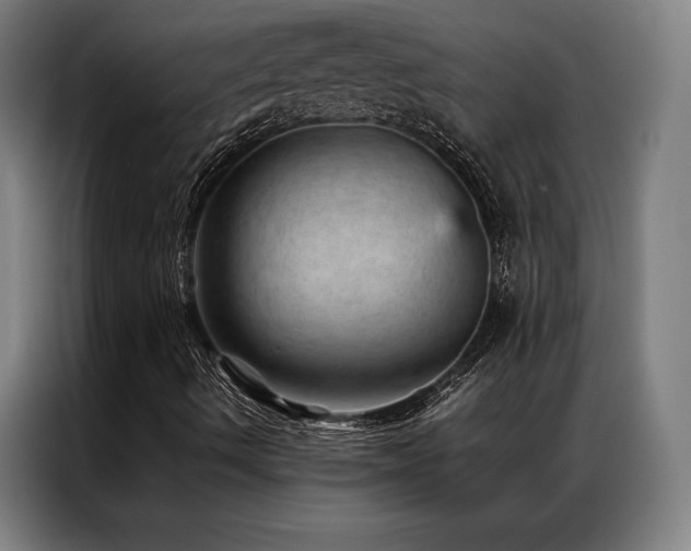 X0000087311490200704201200