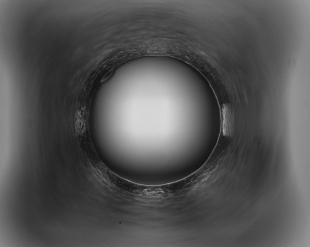 X0000087311491200704201200
