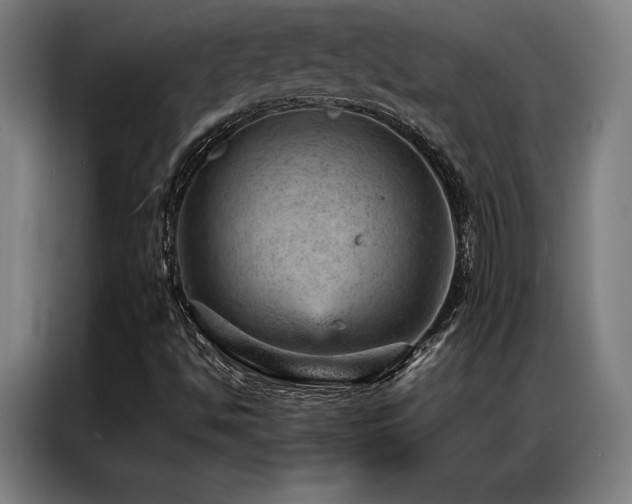 X0000087311494200704201201