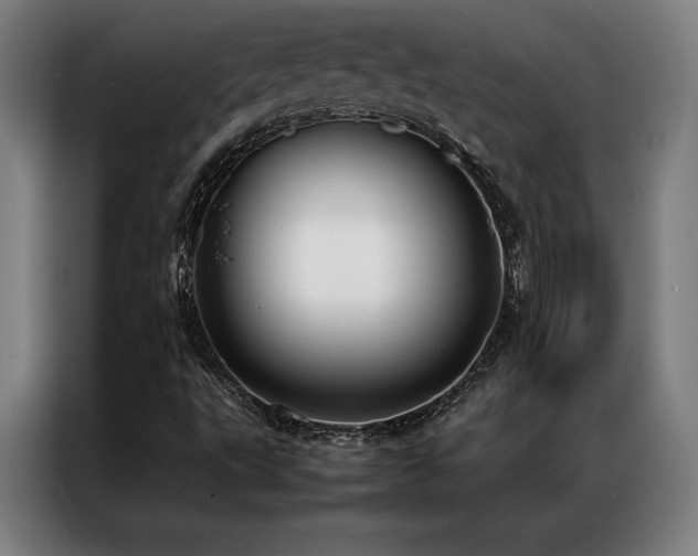 X0000087311495200704201201