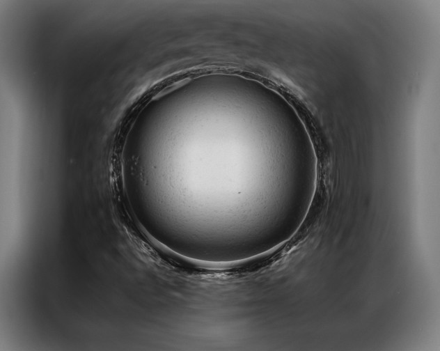 X0000087311496200704201201