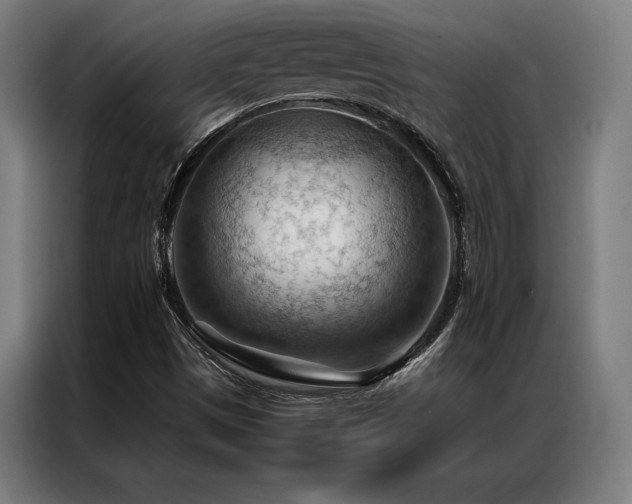 X0000087311497200704201201