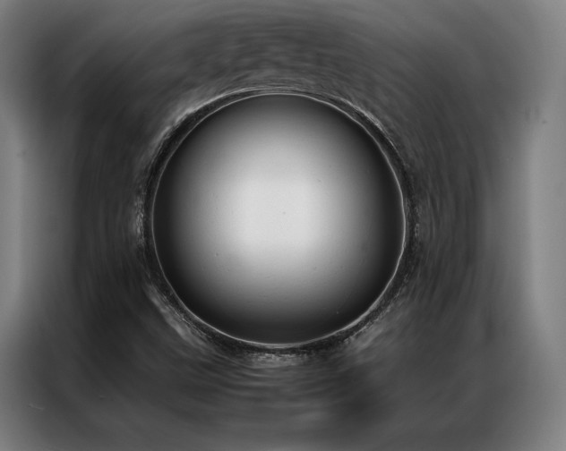 X0000087311499200704201201