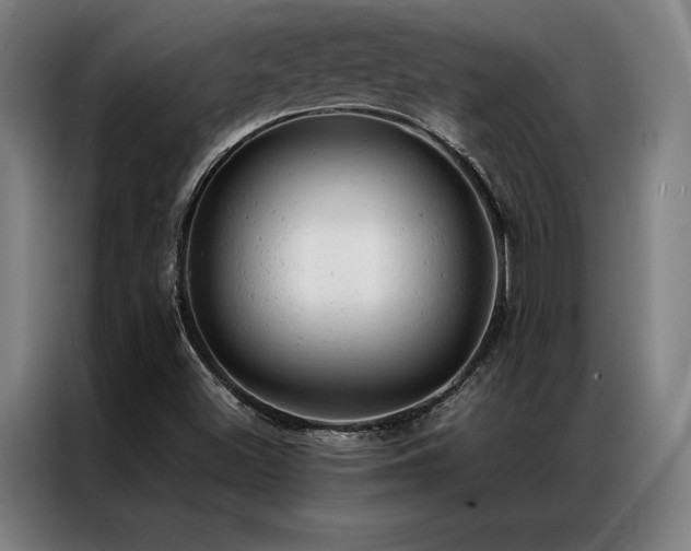 X0000087311500200704201201