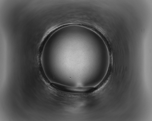 X0000087311501200704201201