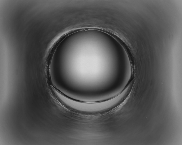 X0000087311502200704201201