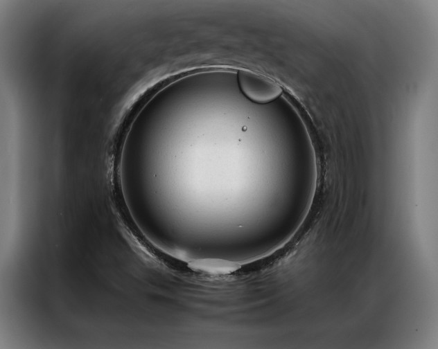 X0000087311503200704201201