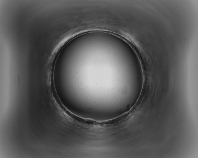 X0000087311504200704201201