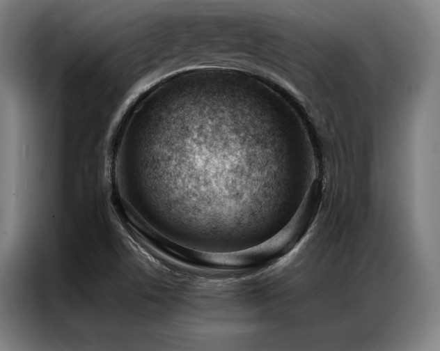 X0000087311506200704201201
