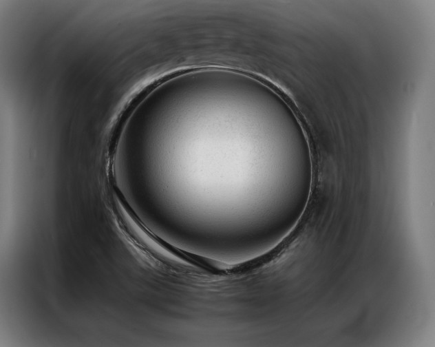 X0000087311507200704201201