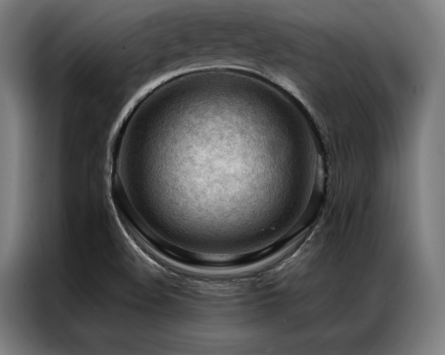 X0000087311508200704201201