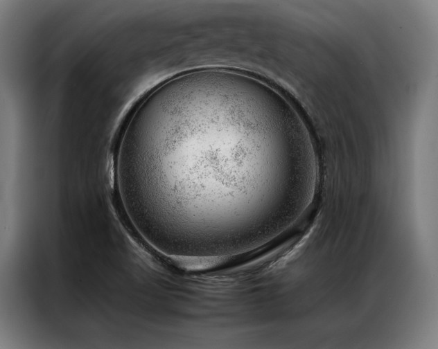 X0000087311509200704201201