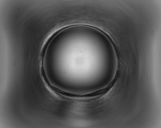 X0000087311511200704201201