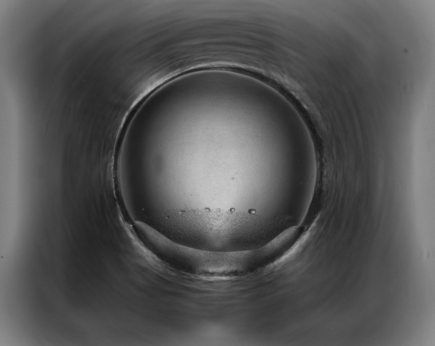 X0000087311513200704201201