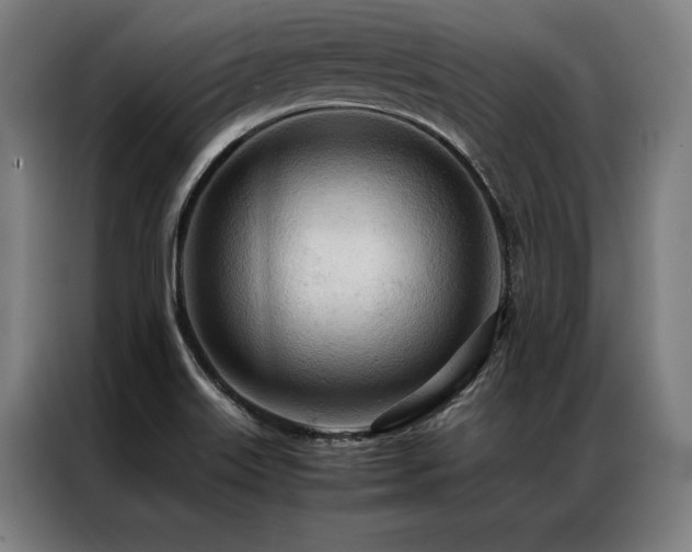 X0000087311515200704201201