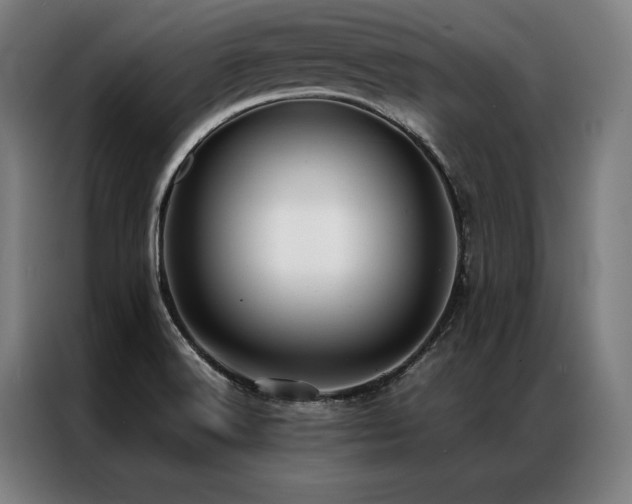X0000087311516200704201201