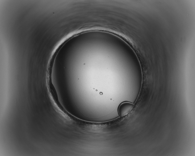 X0000087311518200704201201