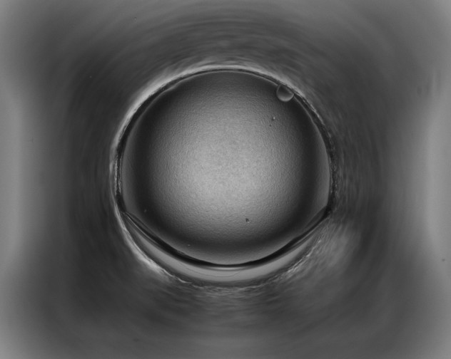 X0000087311519200704201201