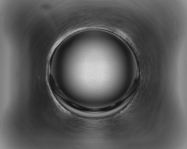 X0000087311520200704201201