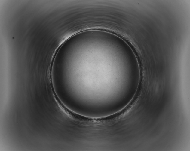 X0000087311521200704201201