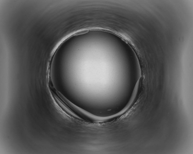 X0000087311524200704201201