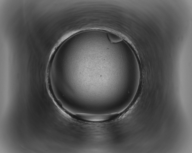 X0000087311525200704201201