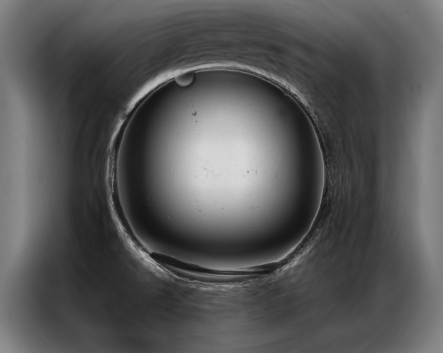 X0000087311526200704201201