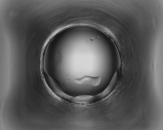 X0000087311528200704201201