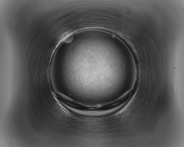 X0000087311529200704201201