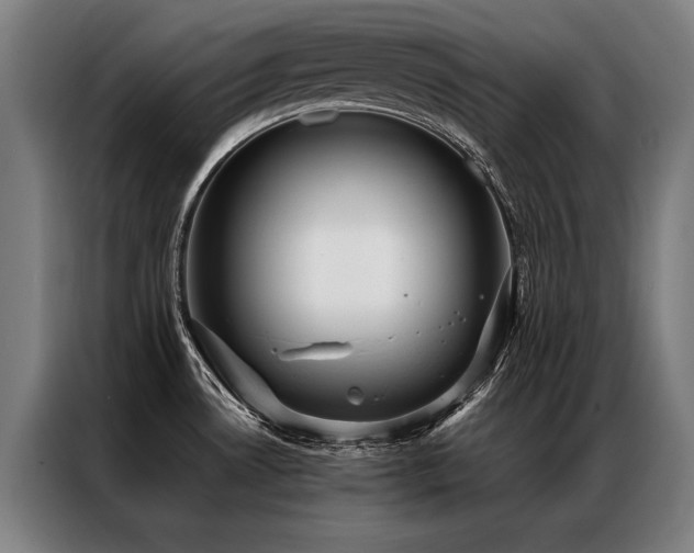 X0000087311530200704201201