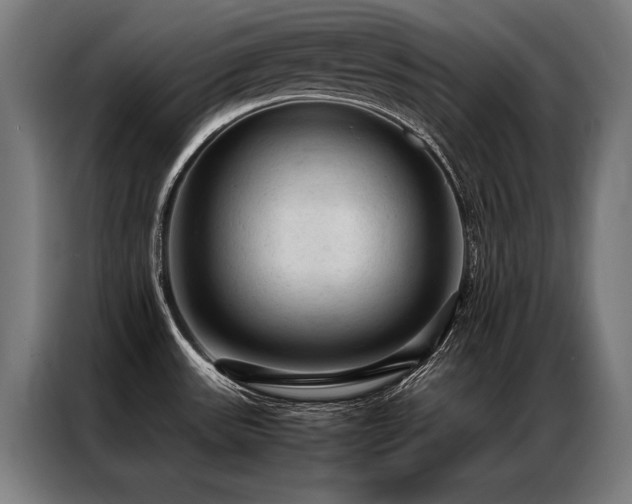 X0000087311531200704201201