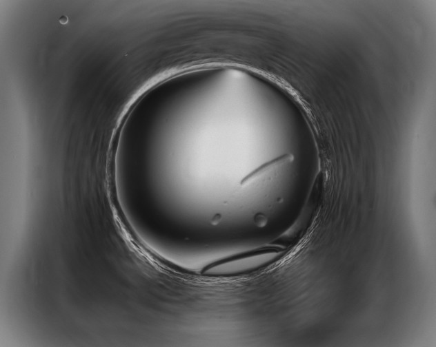X0000087311534200704201201