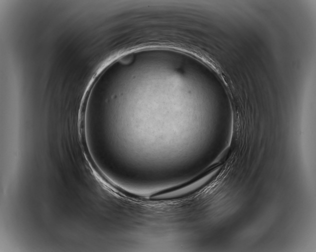 X0000087311535200704201201