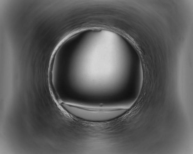 X0000087311536200704201201