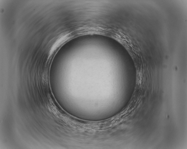 X0000087310004200704271414
