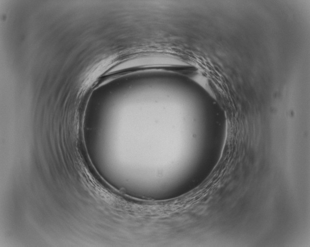 X0000087310005200704271414