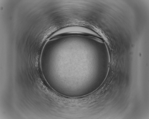 X0000087310010200704271414