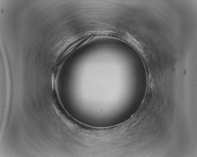 X0000087310013200704271414