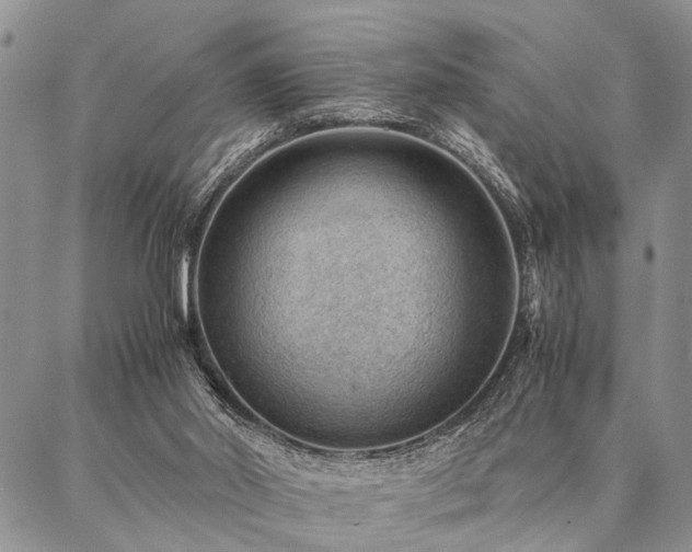 X0000087310014200704271414