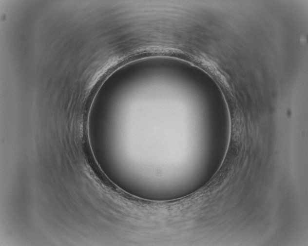 X0000087310015200704271414