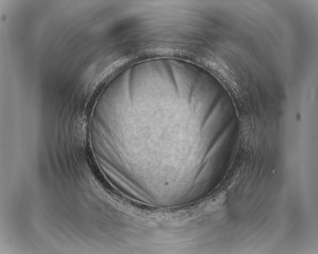 X0000087310016200704271414