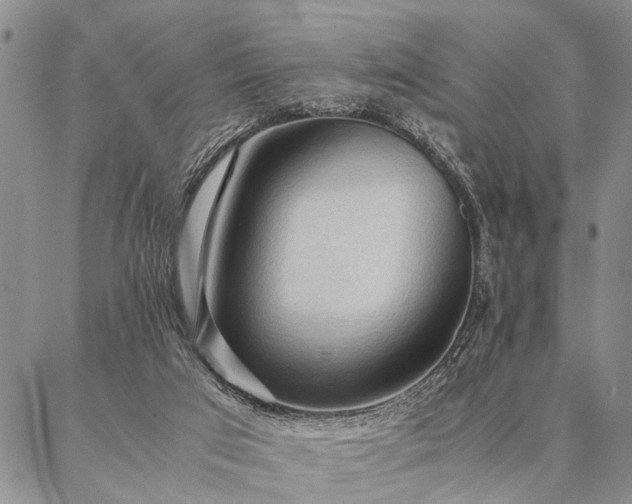 X0000087310017200704271414