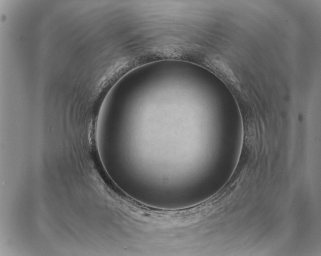 X0000087310023200704271414