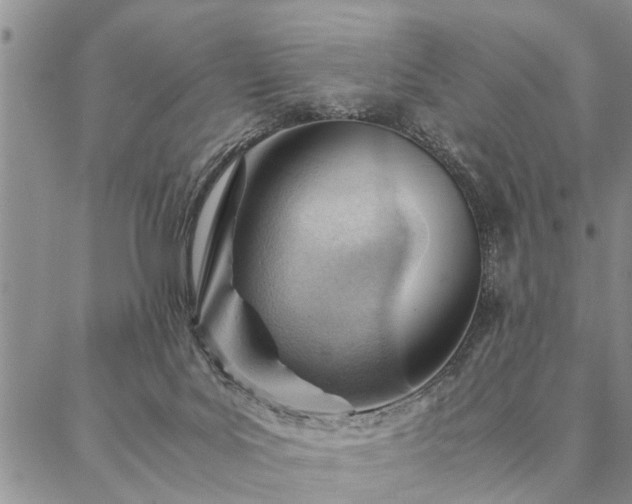 X0000087310027200704271413