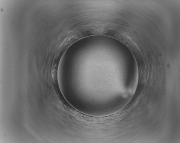 X0000087310035200704271413