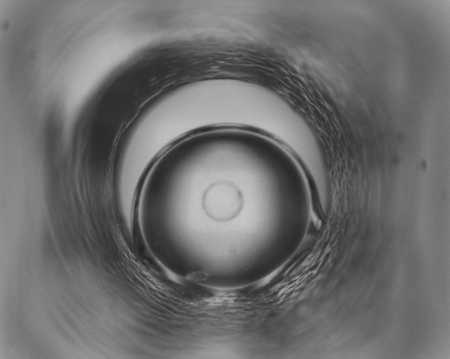 X0000087310052200704271412